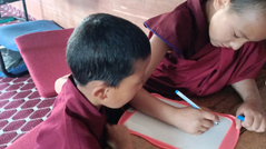 SEE Learning